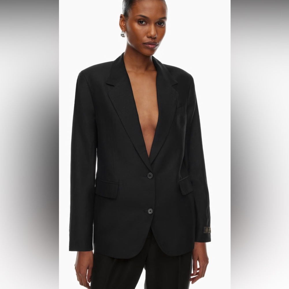 Aritzia  Babaton  Agency wool  blazer